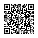 To view this 2010 Ford Mustang New Hope PA from New Hope Auto Sales, please scan this QR code with your smartphone or tablet to view the mobile version of this page.