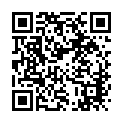To view this 2007 Harley-Davidson V-Rod New Hope PA from New Hope Auto Sales, please scan this QR code with your smartphone or tablet to view the mobile version of this page.