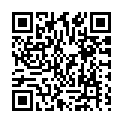 To view this 2005 Mercedes-Benz E-Class New Hope PA from New Hope Auto Sales, please scan this QR code with your smartphone or tablet to view the mobile version of this page.
