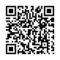To view this 2014 Ford E-Series Van New Hope PA from New Hope Auto Sales, please scan this QR code with your smartphone or tablet to view the mobile version of this page.