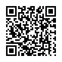 To view this 2010 Ford F-350 SD New Hope PA from New Hope Auto Sales, please scan this QR code with your smartphone or tablet to view the mobile version of this page.