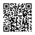 To view this 2004 Volkswagen Passat New Hope PA from New Hope Auto Sales, please scan this QR code with your smartphone or tablet to view the mobile version of this page.