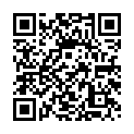 To view this 2008 Cadillac DTS New Hope PA from New Hope Auto Sales, please scan this QR code with your smartphone or tablet to view the mobile version of this page.