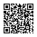 To view this 2004 Volvo XC90 New Hope PA from New Hope Auto Sales, please scan this QR code with your smartphone or tablet to view the mobile version of this page.