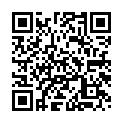To view this 2003 Audi RS6 New Hope PA from New Hope Auto Sales, please scan this QR code with your smartphone or tablet to view the mobile version of this page.