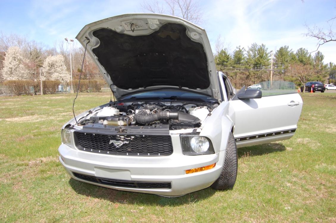 2007 Silver /Black Cloth Ford Mustang V6 Coupe (1ZVFT80N475) with an 4.0L V6 SOHC 12V engine, 5 speed manual transmission, located at 6528 Lower York Road, New Hope, PA, 18938, (215) 862-9555, 40.358707, -74.977882 - Photo #21