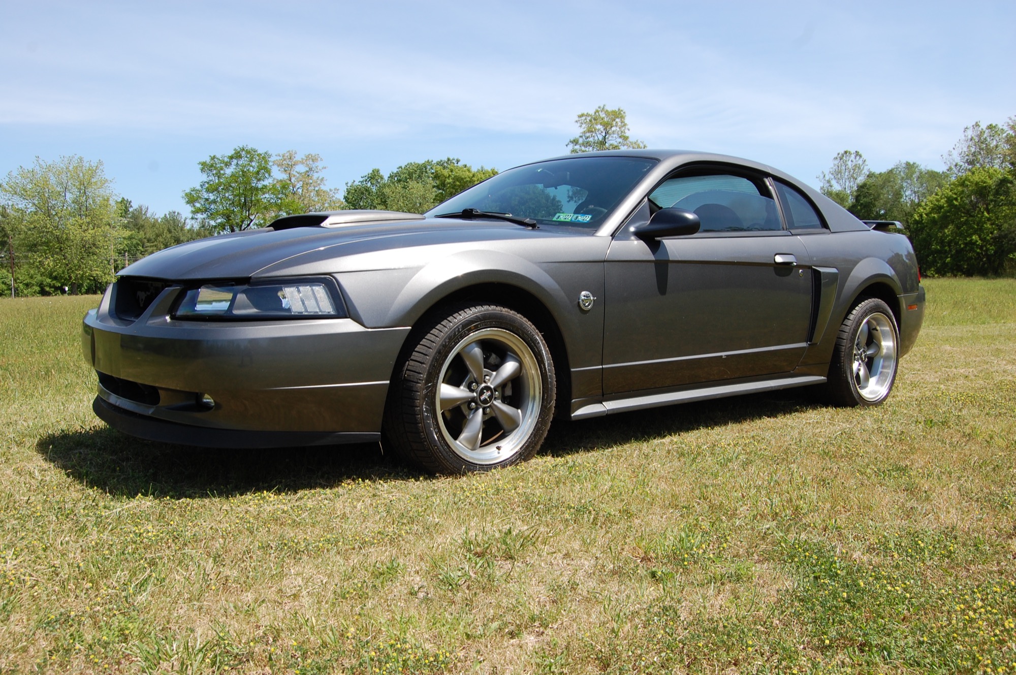 photo of 2004 Ford Mustang GT Deluxe Coupe