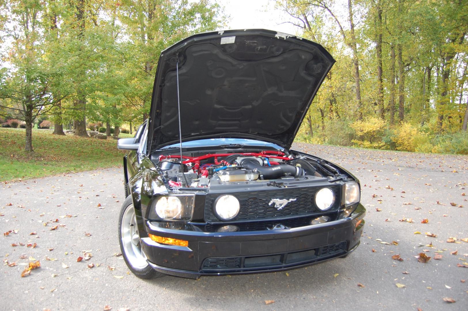 2005 Black /Black leather Ford Mustang GT Premium Coupe (1ZVHT82H455) with an 4.6L V8 SOHC 24V engine, 5 Speed Manual transmission, located at 6528 Lower York Road, New Hope, PA, 18938, (215) 862-9555, 40.358707, -74.977882 - Photo#28