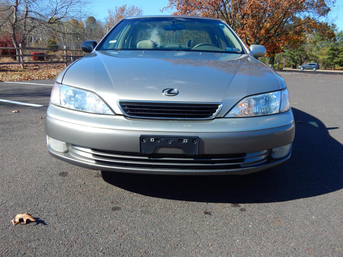 1999 Gold /Tan Leather Lexus ES 300 Base (JT8BF28G7X5) with an 3.0L V6 DOHC 24V engine, 4-Speed Automatic Overdrive transmission, located at 6528 Lower York Road, New Hope, PA, 18938, (215) 862-9555, 40.358707, -74.977882 - Photo#6