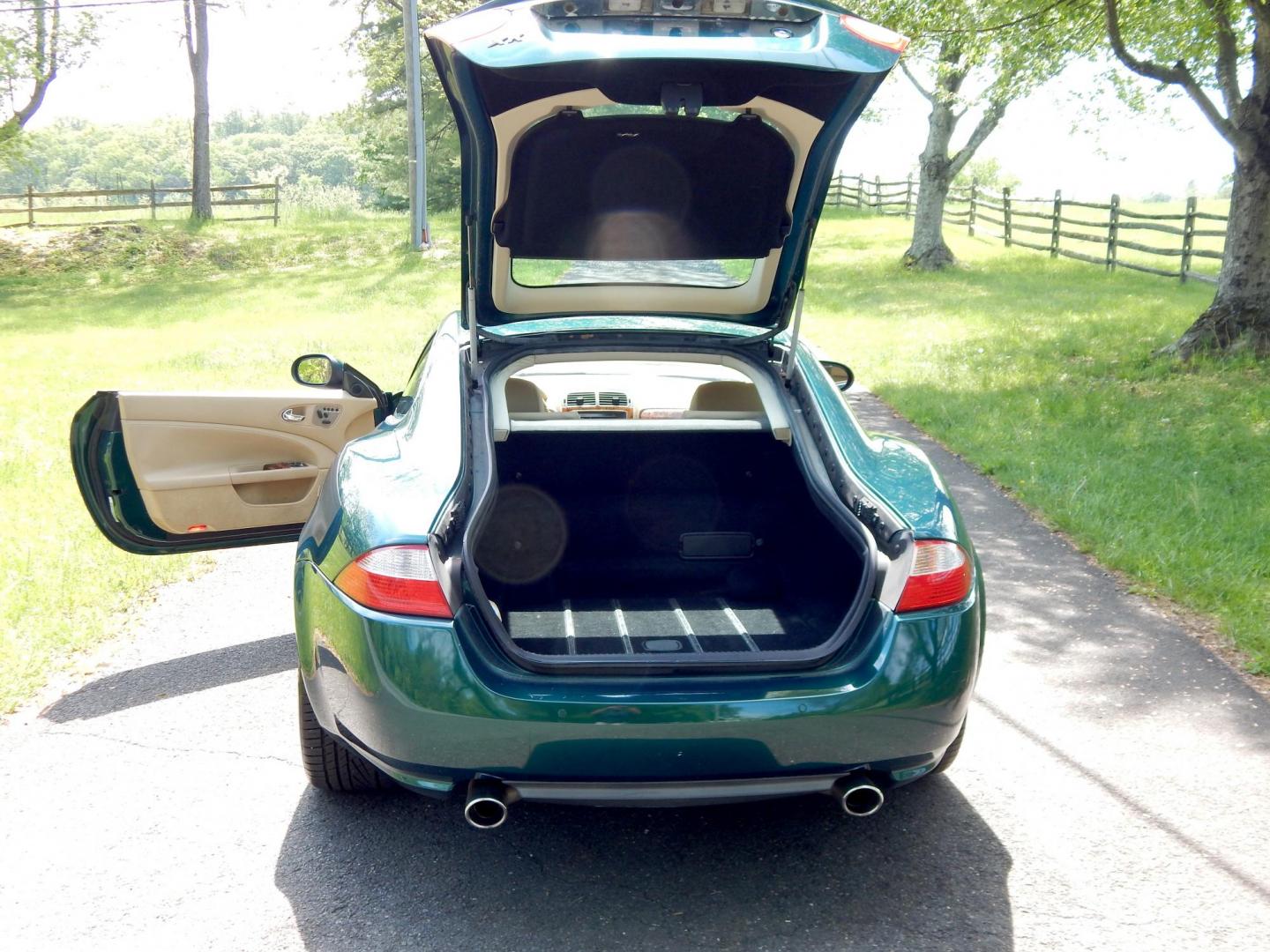 2008 Green /Tan Jaguar XK-Series XK Coupe (SAJWA43B285) with an 4.2L V8 DOHC 32V engine, 6-Speed Automatic Overdrive transmission, located at 6528 Lower York Road, New Hope, PA, 18938, (215) 862-9555, 40.358707, -74.977882 - Here we have a 2008 Jaguar XK with a 4.2L V8 putting power to the rear wheels via a smooth shifting automatic transmission. Options include: tan leather with wood trim, front power seats with memory, push button start, dual climate controls, heated front seats, navigation, AM/FM/CD/SAT radio with Al - Photo#10