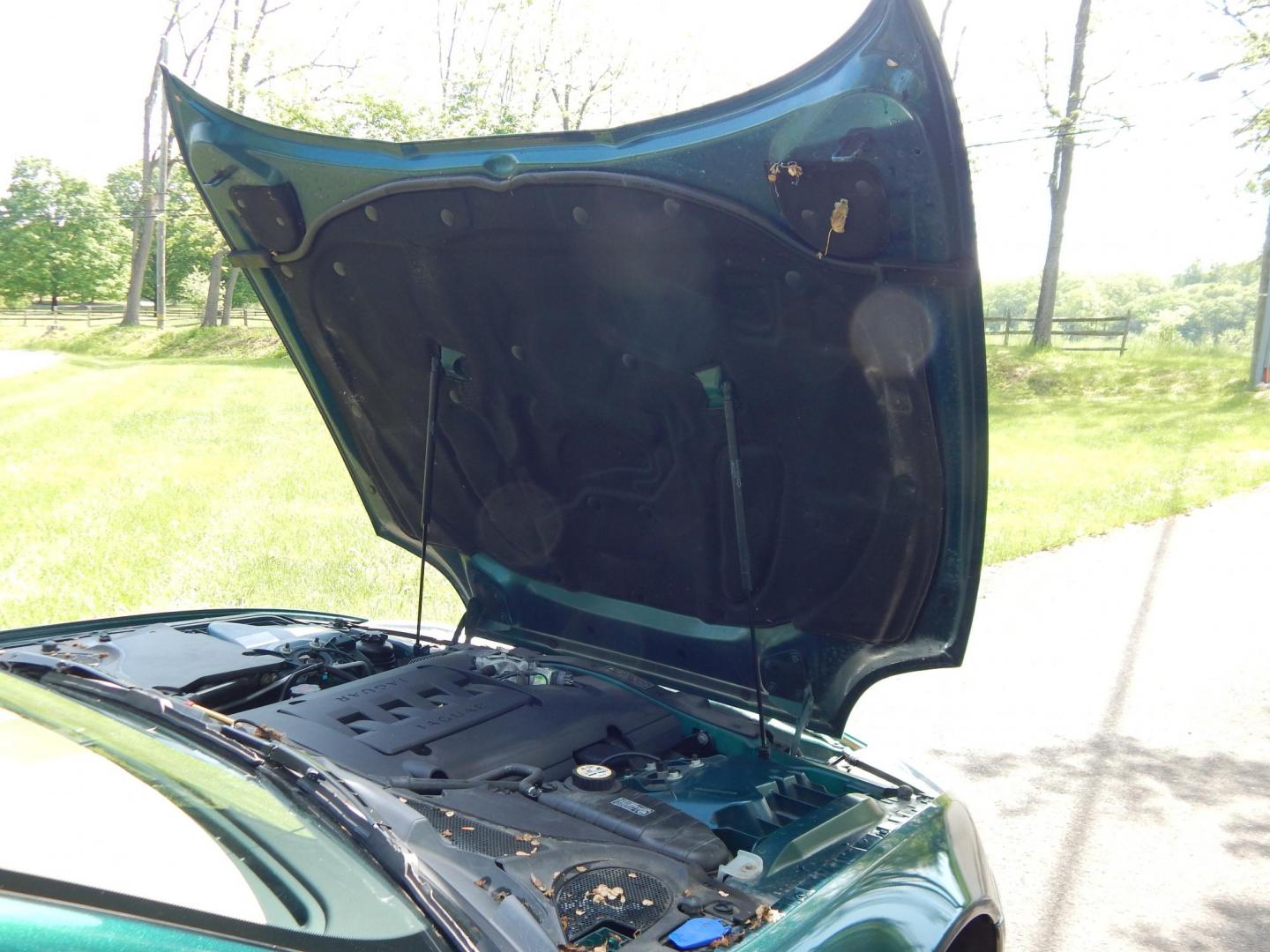2008 Green /Tan Jaguar XK-Series XK Coupe (SAJWA43B285) with an 4.2L V8 DOHC 32V engine, 6-Speed Automatic Overdrive transmission, located at 6528 Lower York Road, New Hope, PA, 18938, (215) 862-9555, 40.358707, -74.977882 - Here we have a 2008 Jaguar XK with a 4.2L V8 putting power to the rear wheels via a smooth shifting automatic transmission. Options include: tan leather with wood trim, front power seats with memory, push button start, dual climate controls, heated front seats, navigation, AM/FM/CD/SAT radio with Al - Photo#16