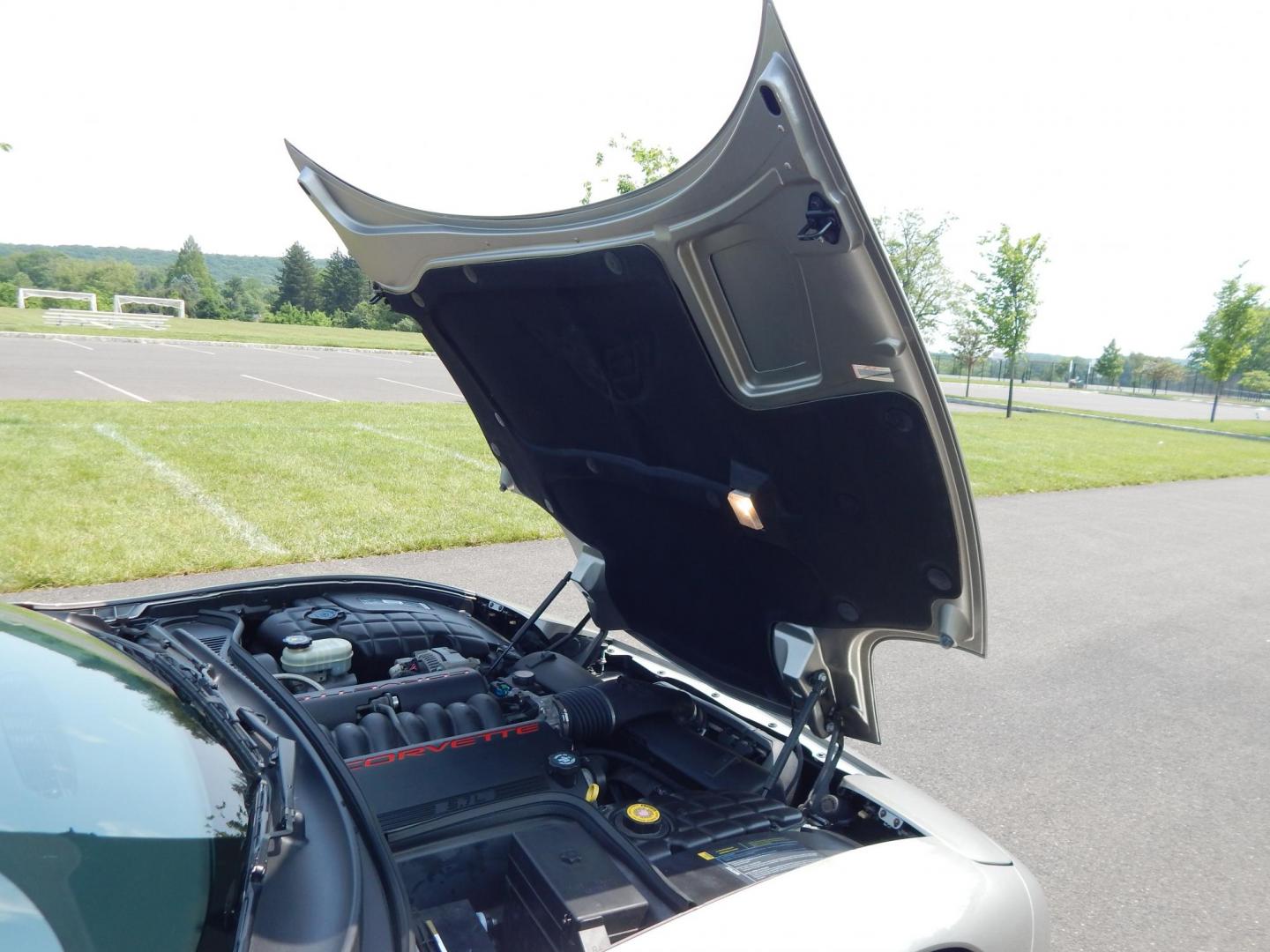 2001 SIlver /Black Chevrolet Corvette Coupe (1G1YY22G415) with an 5.7L V8 OHV 16V engine, Automatic transmission, located at 6528 Lower York Road, New Hope, PA, 18938, (215) 862-9555, 40.358707, -74.977882 - Here we have a beautiful, all original condition down to the factory tires, one owner, 2001 Chevrolet Corvette Coupe - a true time capsule. This rare find has been meticulously preserved in showroom condition for over two decades. Perfect for collectors or enthusiasts seeking a pristine example of A - Photo#23