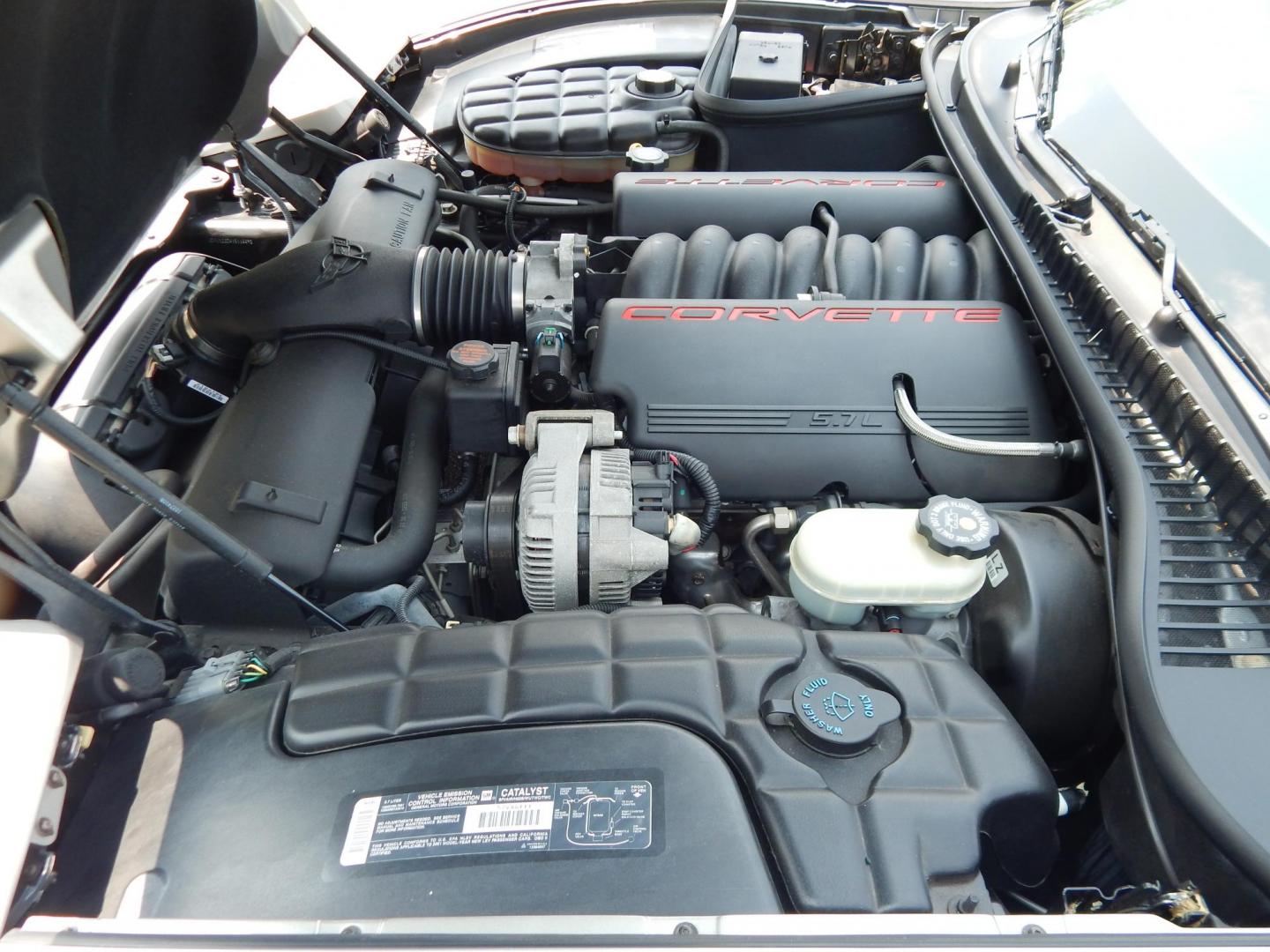 2001 SIlver /Black Chevrolet Corvette Coupe (1G1YY22G415) with an 5.7L V8 OHV 16V engine, Automatic transmission, located at 6528 Lower York Road, New Hope, PA, 18938, (215) 862-9555, 40.358707, -74.977882 - Here we have a beautiful, all original condition down to the factory tires, one owner, 2001 Chevrolet Corvette Coupe - a true time capsule. This rare find has been meticulously preserved in showroom condition for over two decades. Perfect for collectors or enthusiasts seeking a pristine example of A - Photo#24