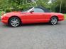 2002 Red /Red Ford Thunderbird Deluxe (1FAHP60A62Y) with an 3.9L V8 DOHC 32V engine, 5-Speed Automatic Overdrive transmission, located at 6528 Lower York Road, New Hope, PA, 18938, (215) 862-9555, 40.358707, -74.977882 - Here we have a beautifully kept, 14,XXX original miles, one owner Ford Thunderbird Deluxe with a 3.9L V8 putting power to the rear wheels via a smooth shifting automatic transmission. This vehicle has a clean Carfax reporting no accidents and one owner! Garage kept its whole life. All servicing done - Photo#1