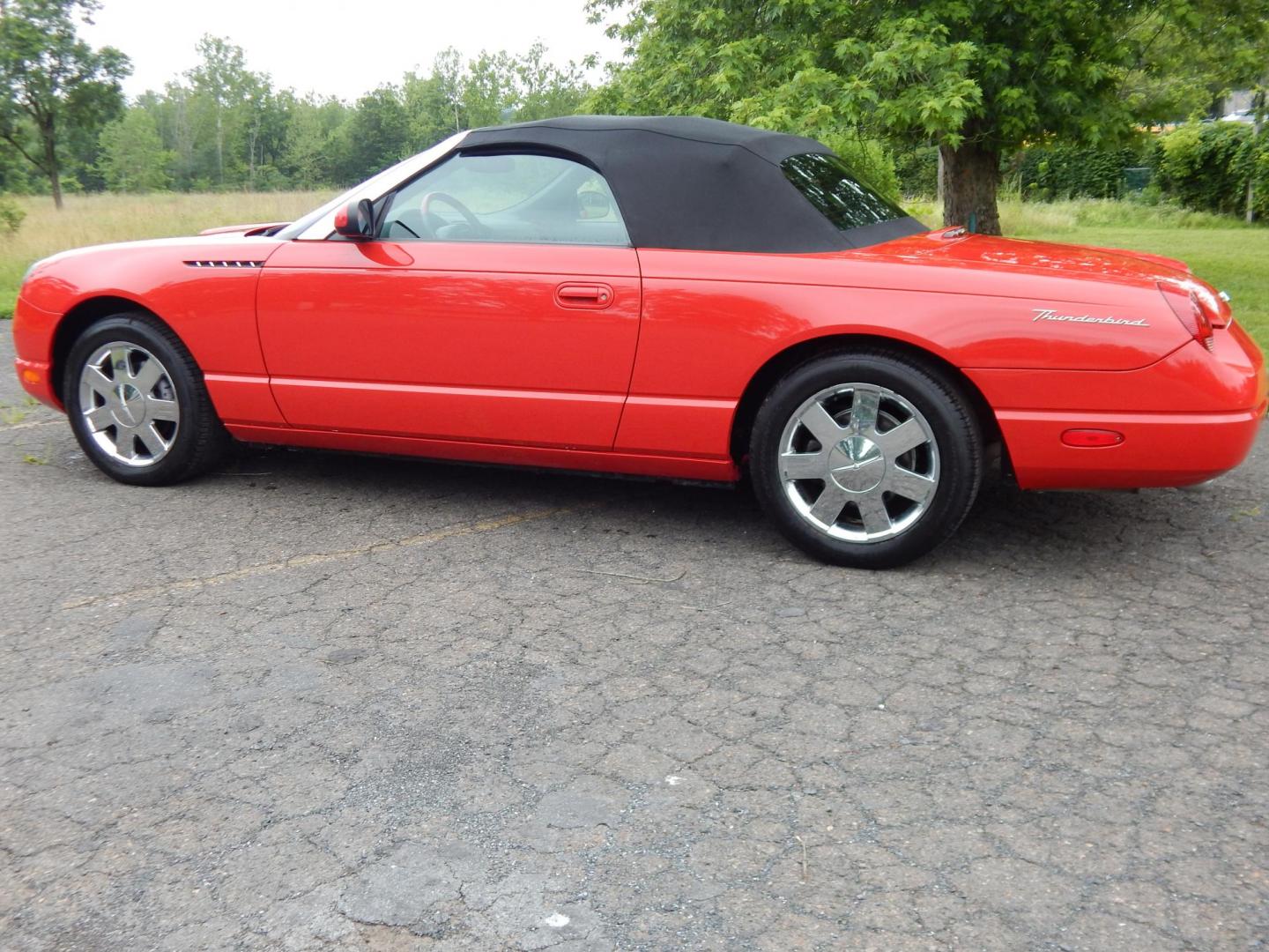 2002 Red /Red Ford Thunderbird Deluxe (1FAHP60A62Y) with an 3.9L V8 DOHC 32V engine, 5-Speed Automatic Overdrive transmission, located at 6528 Lower York Road, New Hope, PA, 18938, (215) 862-9555, 40.358707, -74.977882 - Here we have a beautifully kept, 14,XXX original miles, one owner Ford Thunderbird Deluxe with a 3.9L V8 putting power to the rear wheels via a smooth shifting automatic transmission. This vehicle has a clean Carfax reporting no accidents and one owner! Garage kept its whole life. All servicing done - Photo#2