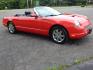 2002 Red /Red Ford Thunderbird Deluxe (1FAHP60A62Y) with an 3.9L V8 DOHC 32V engine, 5-Speed Automatic Overdrive transmission, located at 6528 Lower York Road, New Hope, PA, 18938, (215) 862-9555, 40.358707, -74.977882 - Here we have a beautifully kept, 14,XXX original miles, one owner Ford Thunderbird Deluxe with a 3.9L V8 putting power to the rear wheels via a smooth shifting automatic transmission. This vehicle has a clean Carfax reporting no accidents and one owner! Garage kept its whole life. All servicing done - Photo#12