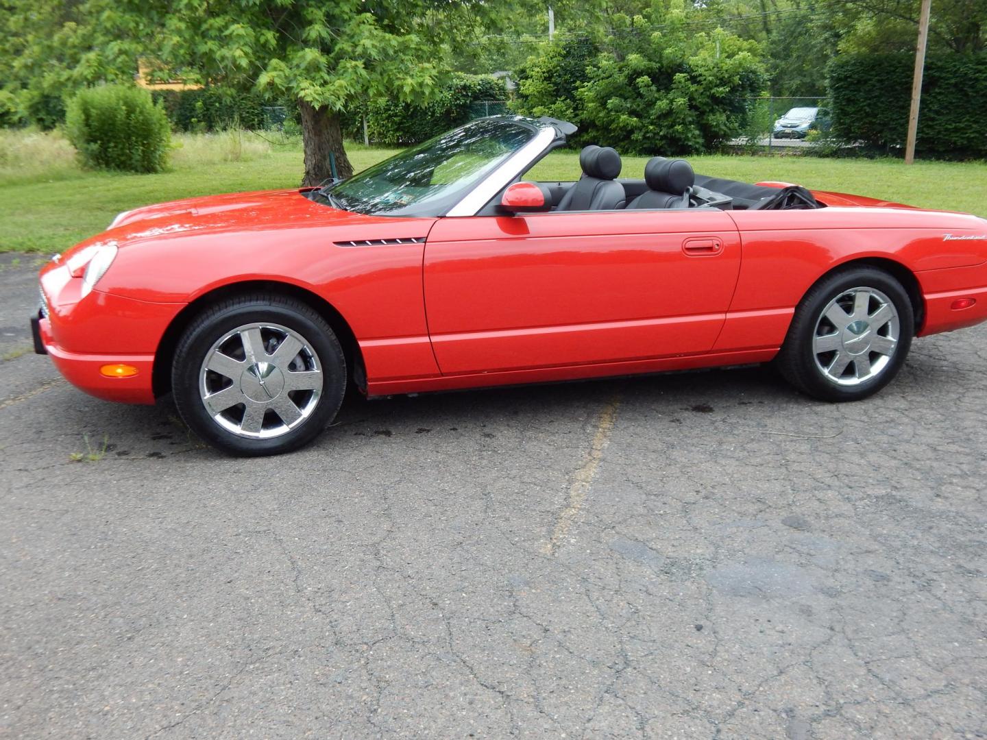 2002 Red /Red Ford Thunderbird Deluxe (1FAHP60A62Y) with an 3.9L V8 DOHC 32V engine, 5-Speed Automatic Overdrive transmission, located at 6528 Lower York Road, New Hope, PA, 18938, (215) 862-9555, 40.358707, -74.977882 - Here we have a beautifully kept, 14,XXX original miles, one owner Ford Thunderbird Deluxe with a 3.9L V8 putting power to the rear wheels via a smooth shifting automatic transmission. This vehicle has a clean Carfax reporting no accidents and one owner! Garage kept its whole life. All servicing done - Photo#11