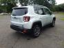 2018 Silver /Black Jeep Renegade Limited 4WD (ZACCJBDB5JP) with an 2.4L L4 DOHC 16V engine, 9A transmission, located at 6528 Lower York Road, New Hope, PA, 18938, (215) 862-9555, 40.358707, -74.977882 - Photo#4