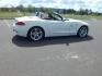 2016 White /Beige BMW Z4 sDrive28i (WBALL5C54G5) with an 2.0L L4 DOHC 16V TURBO engine, Automatic transmission, located at 6528 Lower York Road, New Hope, PA, 18938, (215) 862-9555, 40.358707, -74.977882 - Here we have a beautifully kept, 17k millage, BMW Z4 with a 2.0L Turbo 4 cylinder putting power to the rear wheels via a smooth shifting automatic transmission. Options include: white paint, beige leather interior, wood trim, 2 master keys, cruise control, tilt steering wheel, power windows/locks/mi - Photo#13