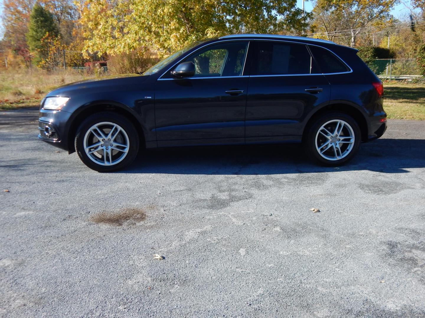 2016 Blue /Brown Audi Q5 3.0T Premium Plus quattro (WA1D7AFP9GA) with an 3.0L V6 DOHC 24V engine, 8A transmission, located at 6528 Lower York Road, New Hope, PA, 18938, (215) 862-9555, 40.358707, -74.977882 - Here we have a very nice 2016 Audi Q5 with a 3.0L V6 supercharged engine putting power to all four wheels via a smooth shifting automatic transmission. Options include: brown leather, power seats, heated front seats, panoramic sunroof, dual climate controls, push button start, navigation, AM/FM/CD/B - Photo#1