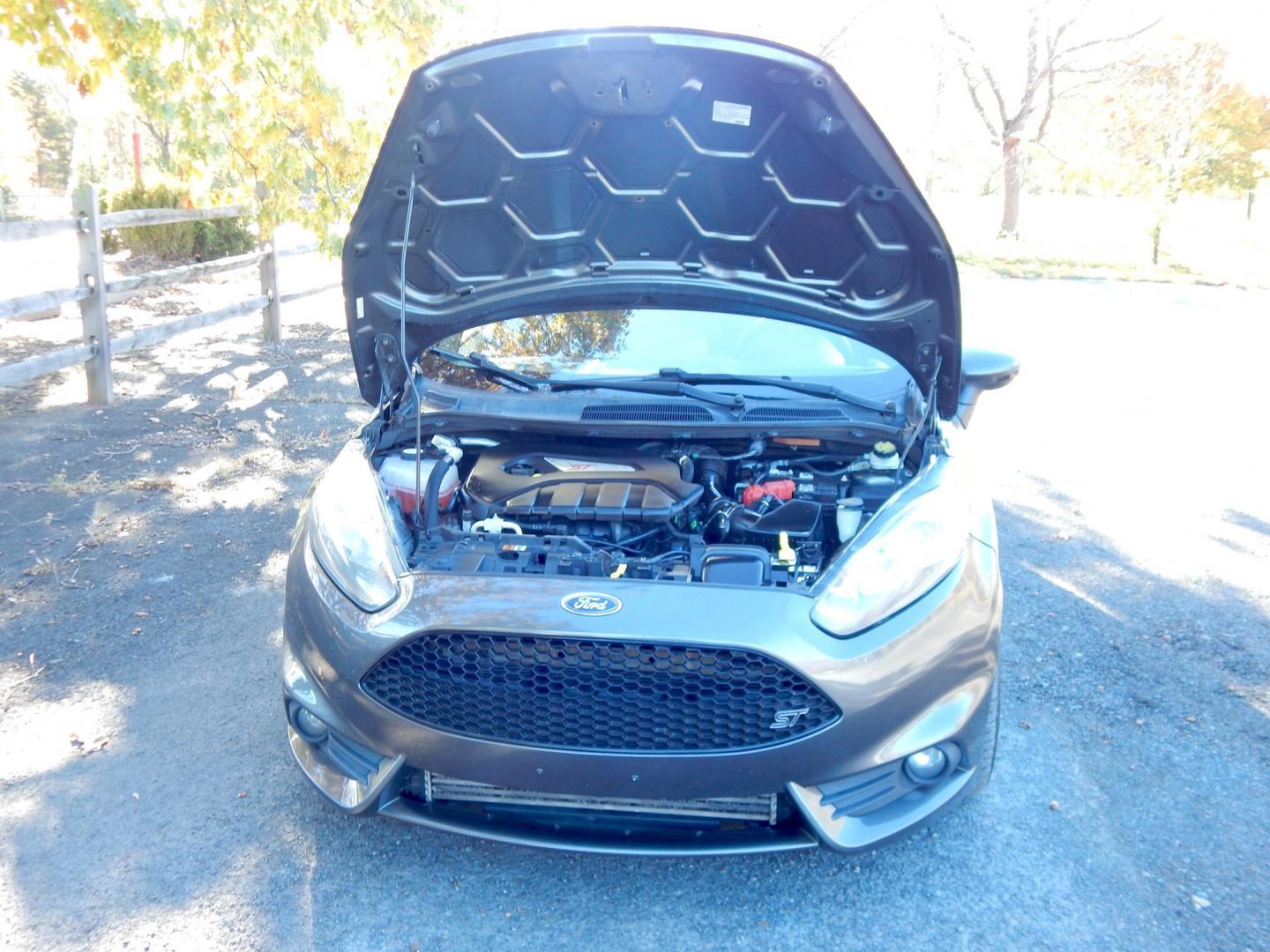 2016 Gray /Black Ford Fiesta ST Hatchback (3FADP4GX1GM) with an 1.6L Turbo engine, 6M transmission, located at 6528 Lower York Road, New Hope, PA, 18938, (215) 862-9555, 40.358707, -74.977882 - Here we have a very fun to drive, Ford Fiesta ST with a 1.6L turbo engine putting power to the front wheels via a 6 speed manual transmission. Options include: black cloth, heated front seats, AC/heat, AM/FM/CD/SAT/BLUETOOTH radio, cruise control, tilt steering wheel, automatic headlights, power win - Photo#18