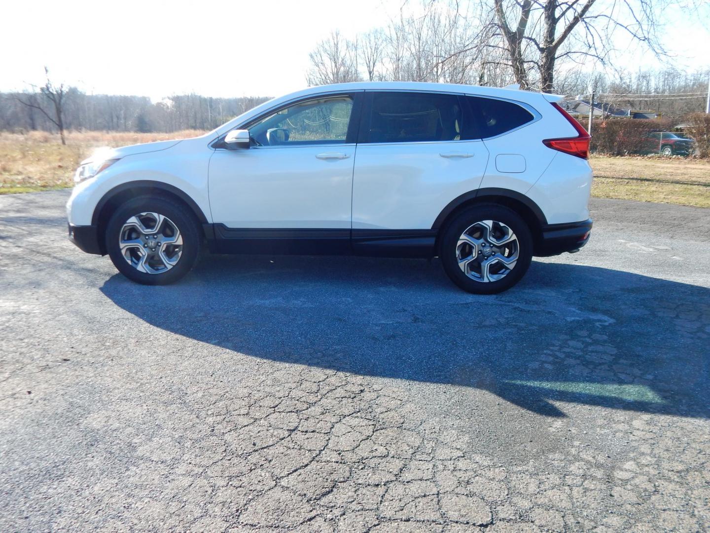 2019 White /Tan Honda CR-V EX AWD (5J6RW2H57KL) with an 1.5L L4 16V DOHC TURBO engine, CVT transmission, located at 6528 Lower York Road, New Hope, PA, 18938, (215) 862-9555, 40.358707, -74.977882 - Here we have a very clean, low millage, Honda CRV with a 1.5L inline 4 cylinder engine putting power to an automatic AWD transmission. Options include: tan cloth, drivers power seat, sunroof, heated front seats, dual climate controls, AM/FM/SIR/BLUETOOTH radio, back up camera, tilt steering wheel, p - Photo#3