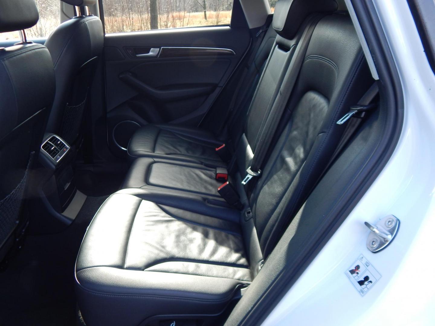 2017 White /Black Audi Q5 2.0T Premium Plus quattro (WA1L2AFP8HA) with an 2.0L L4 DOHC 16V engine, 8A transmission, located at 6528 Lower York Road, New Hope, PA, 18938, (215) 862-9555, 40.358707, -74.977882 - Photo#13