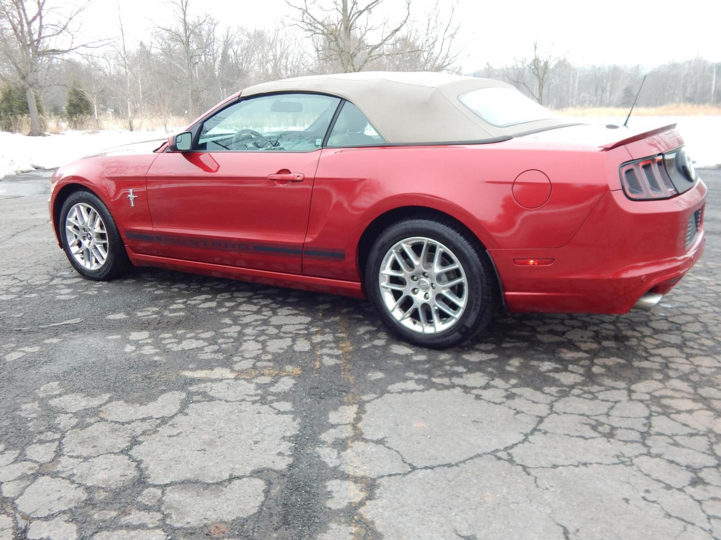 2013 Red /White Ford Mustang V6 Convertible (1ZVBP8EM8D5) with an 3.7L V6 DOHC 24V engine, Manual transmission, located at 6528 Lower York Road, New Hope, PA, 18938, (215) 862-9555, 40.358707, -74.977882 - Photo#5