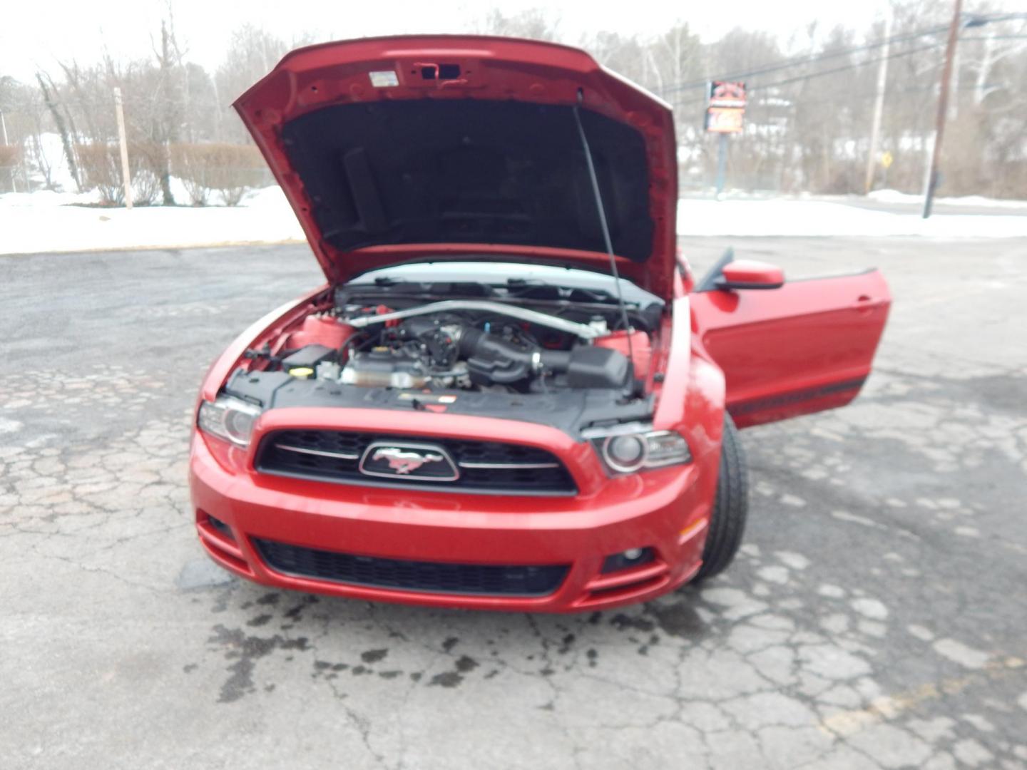 2013 Red /White Ford Mustang V6 Convertible (1ZVBP8EM8D5) with an 3.7L V6 DOHC 24V engine, Manual transmission, located at 6528 Lower York Road, New Hope, PA, 18938, (215) 862-9555, 40.358707, -74.977882 - Photo#19