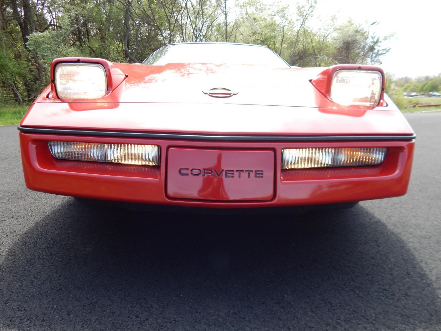 1988 Red /Red Chevrolet Corvette (1G1YY3181J5) with an 5.7L V8 engine, Manual transmission, located at 6528 Lower York Road, New Hope, PA, 18938, (215) 862-9555, 40.358707, -74.977882 - Here we have a beautifully kept, 23k original miles, Chevy Corvette Convertible with a 5.7L V8 putting power to the rear wheels via a smooth shifting 4 speed with overdrive transmission. Red paint with red leather interior and a white convertible top. Some options included are listed here. Please lo - Photo#52