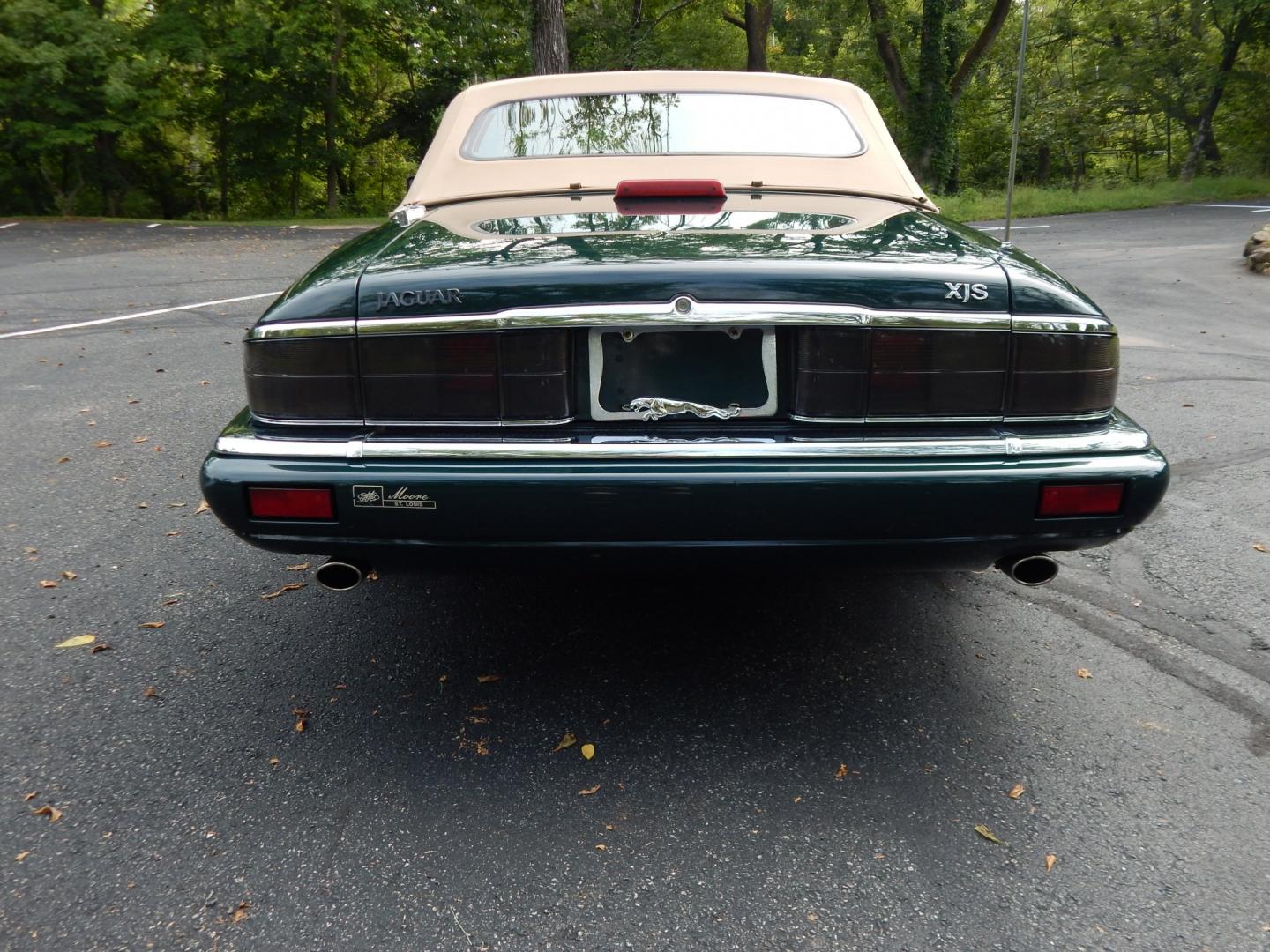 1996 Green /Tan Jaguar XJS 4.0L convertible Celebration Edition (SAJNX2748TC) with an 4.0L L6 DOHC 24V engine, 4A OD transmission, located at 6528 Lower York Road, New Hope, PA, 18938, (215) 862-9555, 40.358707, -74.977882 - Here we have a beautiful 1996 Jaguar XJS Celebration Edition for sale. The Celebration Edition was offered for the last model year of the XJS and came with contrasting color piping on the interior, Jaguar leaper logo on seats, Sapwood walnut wood on interior, chrome mirror caps, twin painted coach l- Photo#5