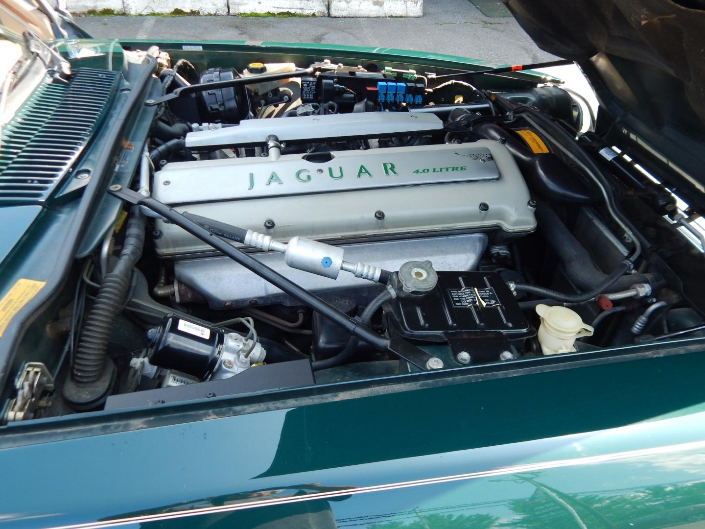 1996 Green /Tan Jaguar XJS 4.0L convertible Celebration Edition (SAJNX2748TC) with an 4.0L L6 DOHC 24V engine, 4A OD transmission, located at 6528 Lower York Road, New Hope, PA, 18938, (215) 862-9555, 40.358707, -74.977882 - Here we have a beautiful 1996 Jaguar XJS Celebration Edition for sale. The Celebration Edition was offered for the last model year of the XJS and came with contrasting color piping on the interior, Jaguar leaper logo on seats, Sapwood walnut wood on interior, chrome mirror caps, twin painted coach l- Photo#23